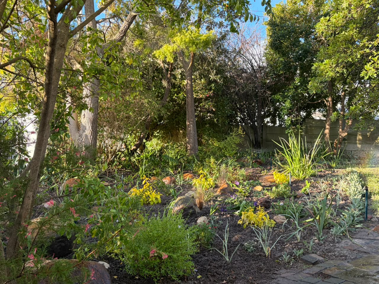 Cabriere Street garden detail