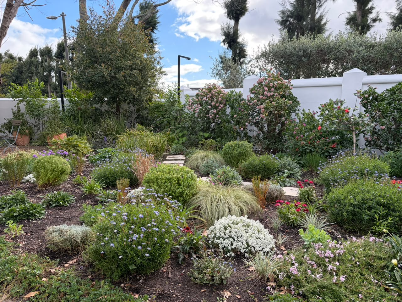 De Villiers planting