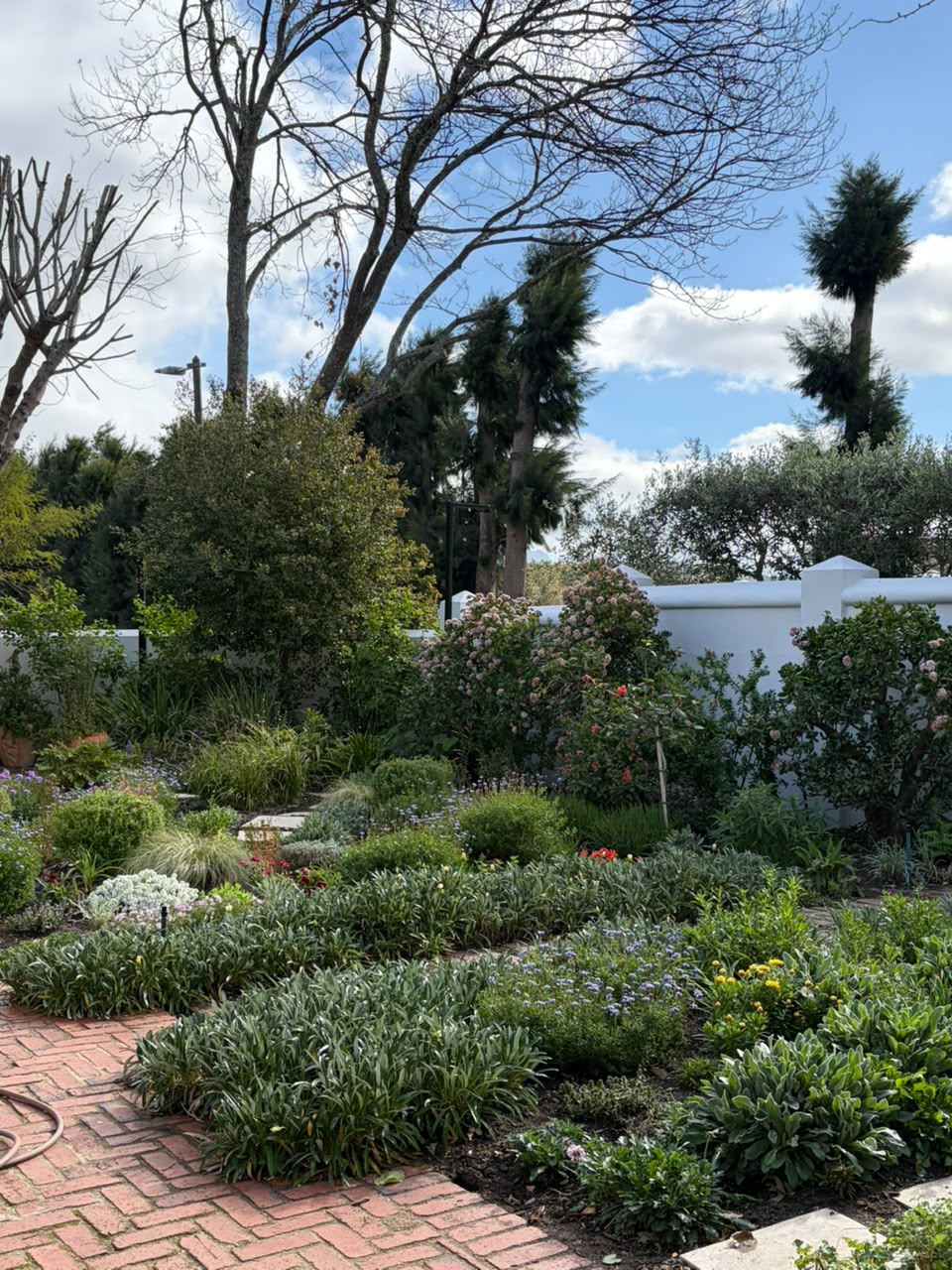 De Villiers Project