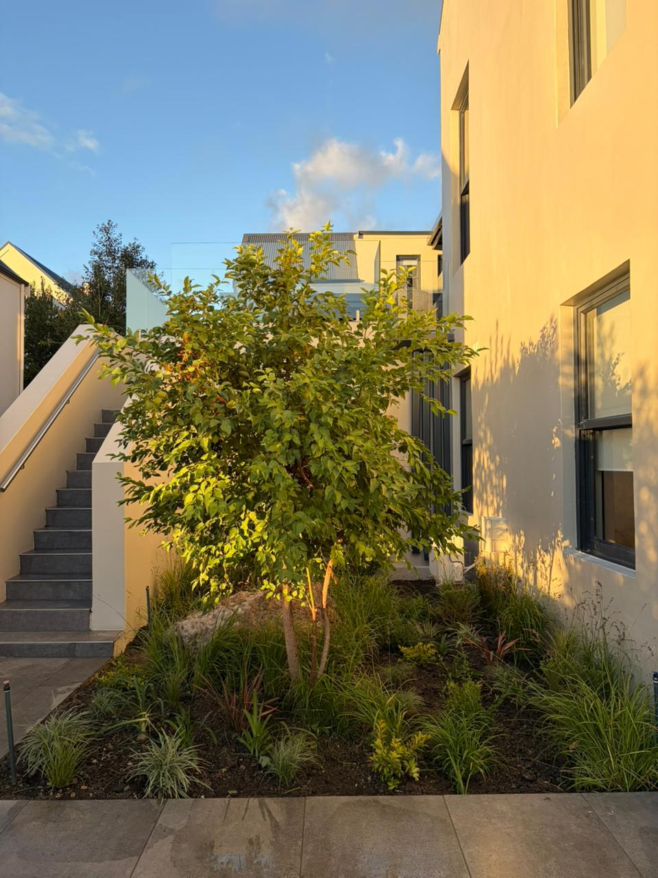 Garden Maintenance