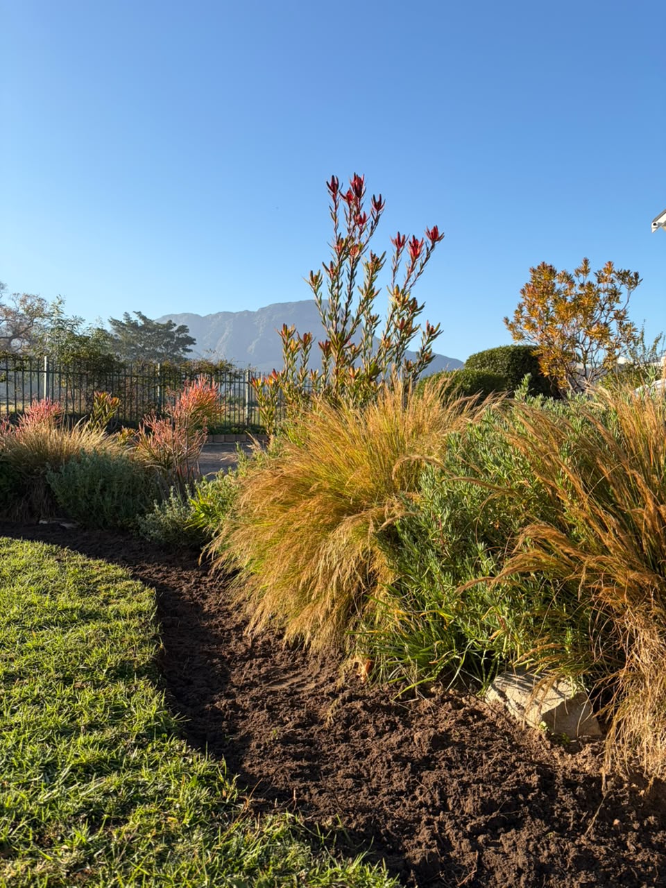 La Petite Provance Franschhoek