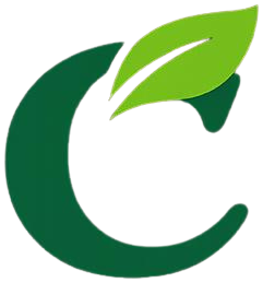 Plan C