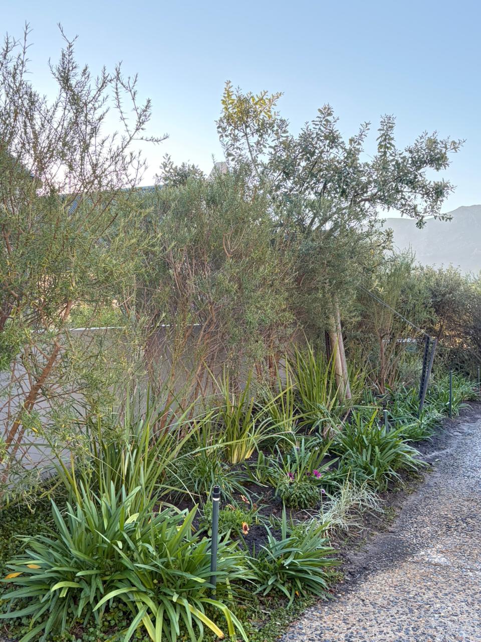 Landscaping Design