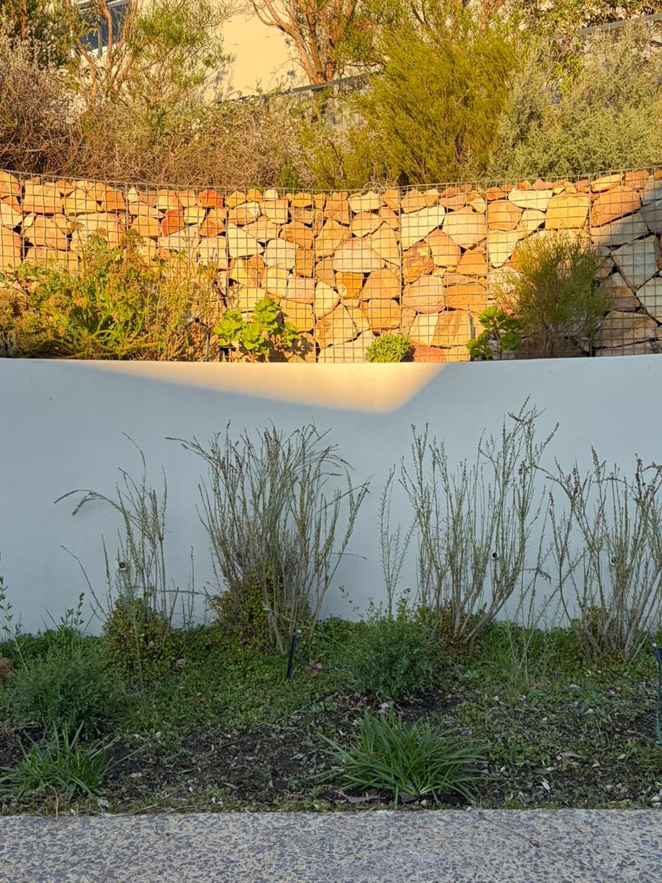 Mongoose Project border