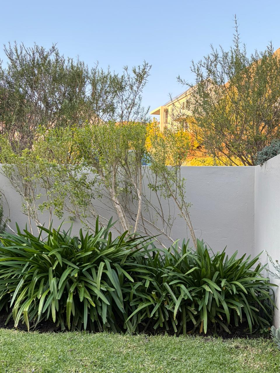 Mongoose Project gabion wall